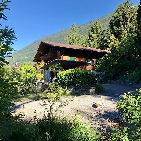 Chalet Rosemarie Ringgenberg Ngoại thất bức ảnh