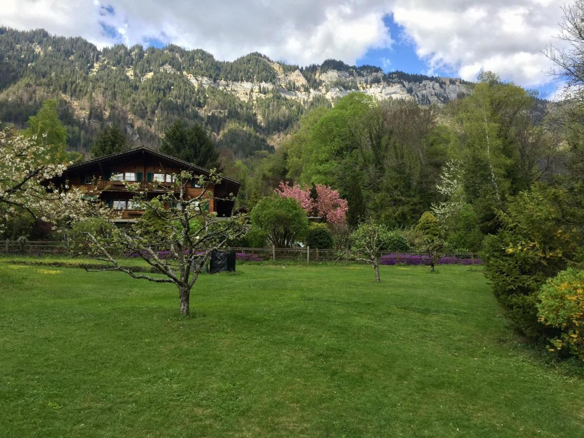 Chalet Rosemarie Ringgenberg Ngoại thất bức ảnh