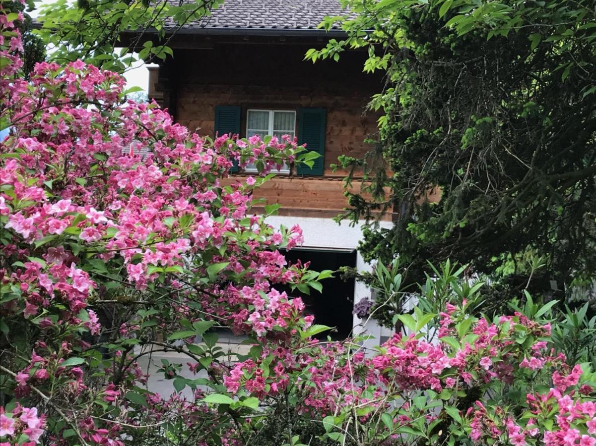 Chalet Rosemarie Ringgenberg Ngoại thất bức ảnh