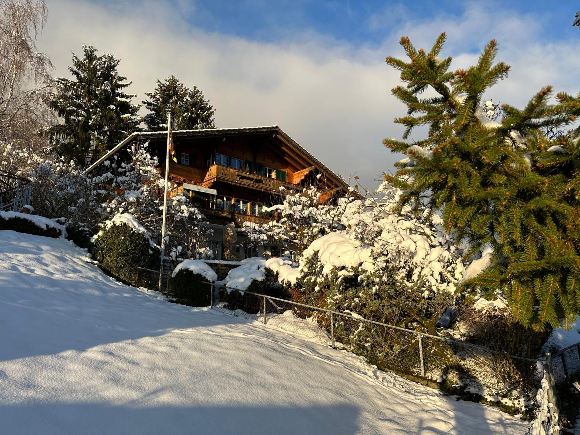 Chalet Rosemarie Ringgenberg Ngoại thất bức ảnh